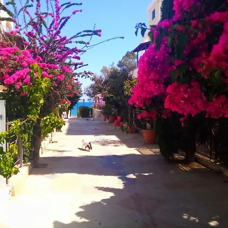 Lovely Seafront Place On 1st Line With Sea&mountain View In Peaceful Galatexcomplex Séjour chez l'habitant